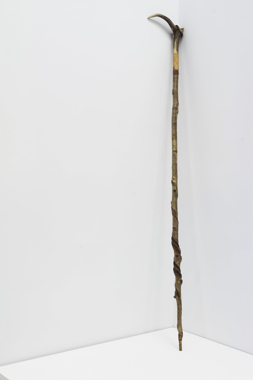 WALKING STICKS , SEANIE BARRON, (SHILLELAGH) 011, 2020