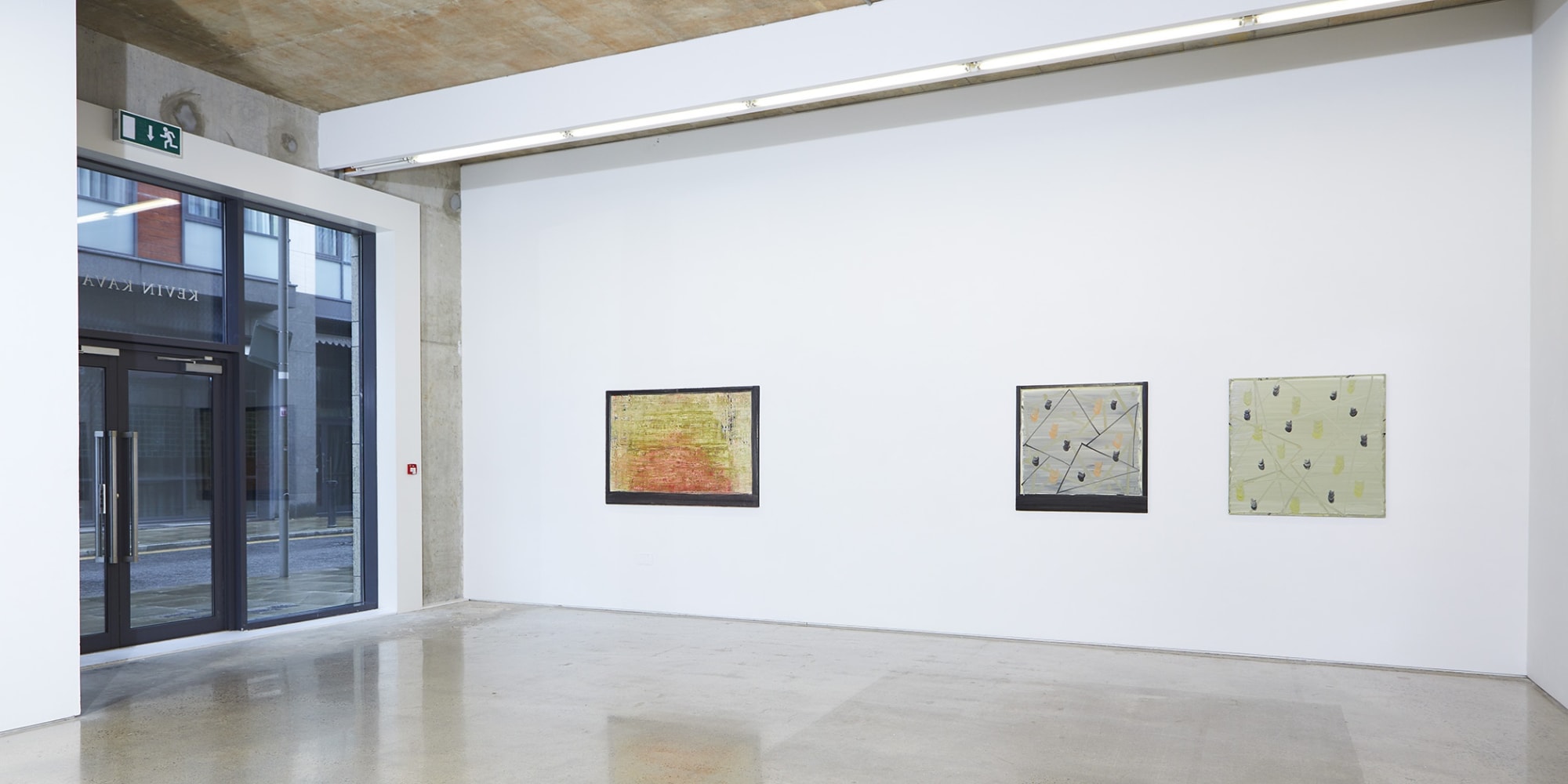 Sinéad Ní Mhaonaigh