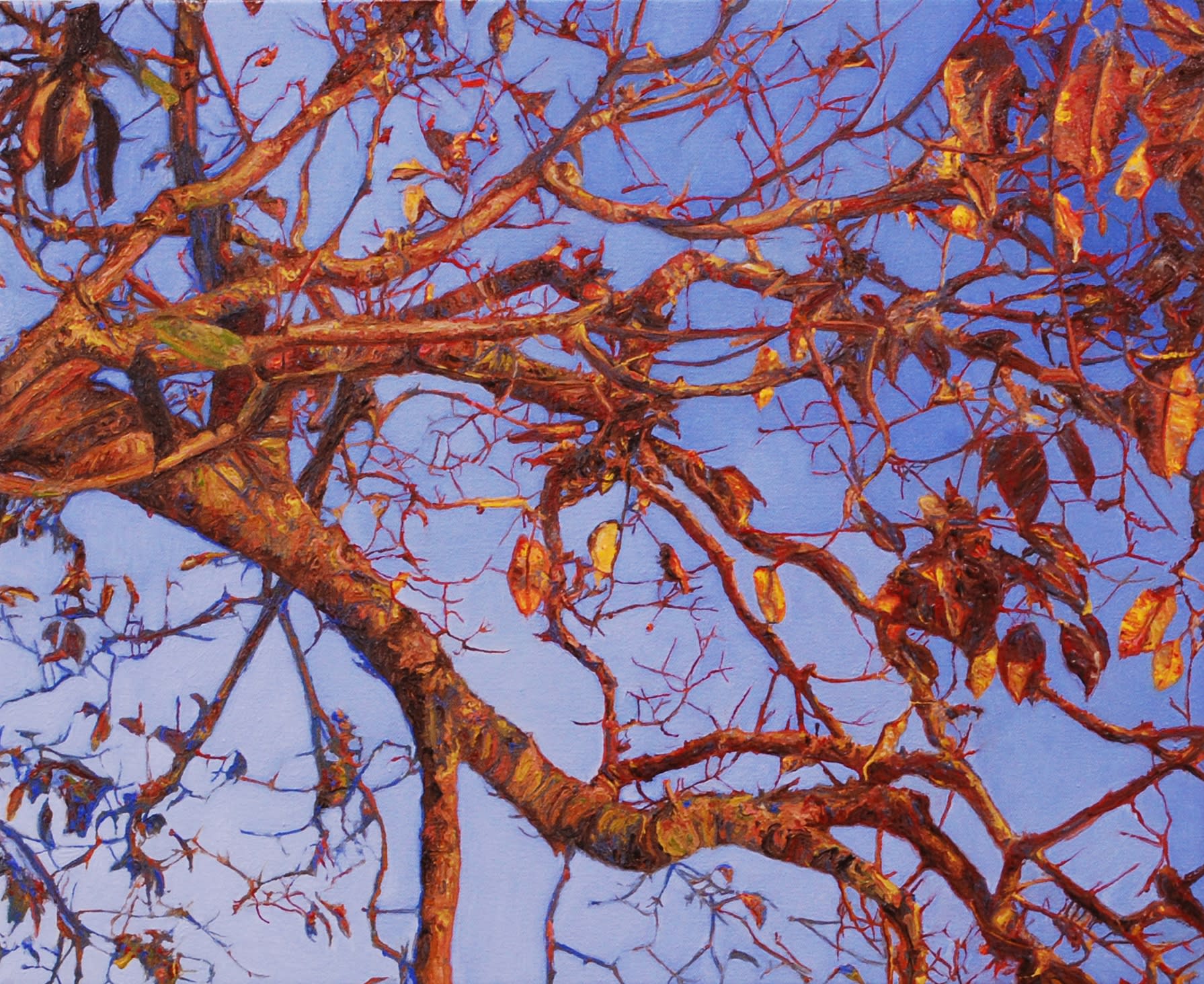 PAUL MCKINLEY, KING LEOPOLD, 2013