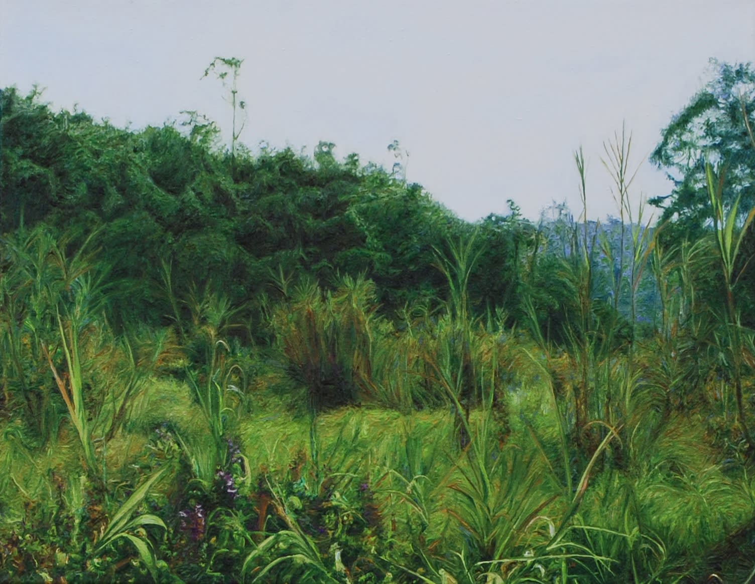 PAUL MCKINLEY, MIDDLE OF GISHWATI, 2013