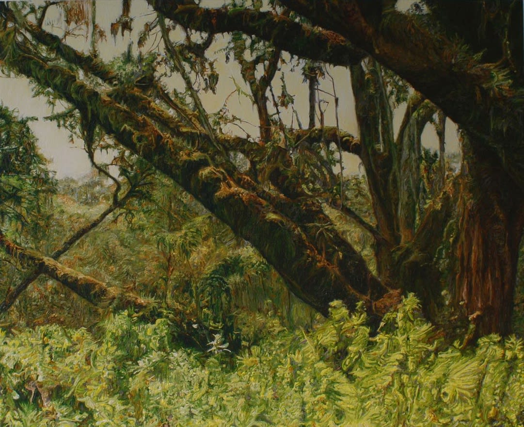 PAUL MCKINLEY, EPIPHYTES, 2012