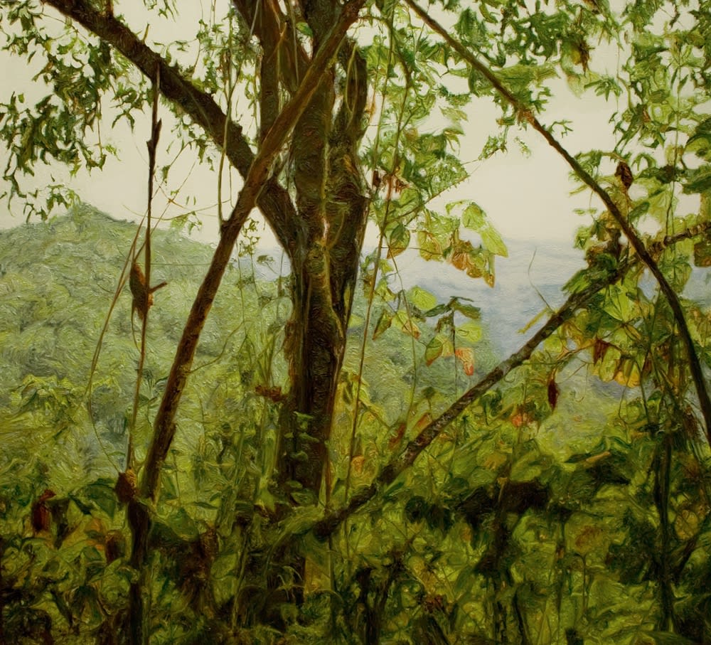 PAUL MCKINLEY, VIEWS TO KAGUHU, 2013