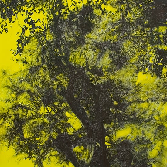 PAUL MCKINLEY, 8 POPLARS, 2010