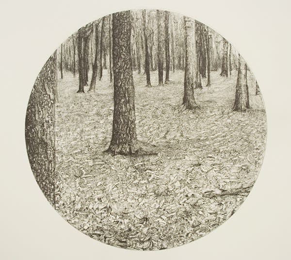 PAUL MCKINLEY, BIRCH TREES N0.2, 2010