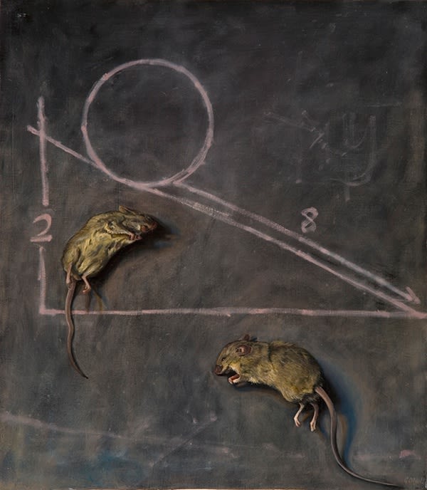 GERALDINE O'NEILL, GRAVITY, 2010