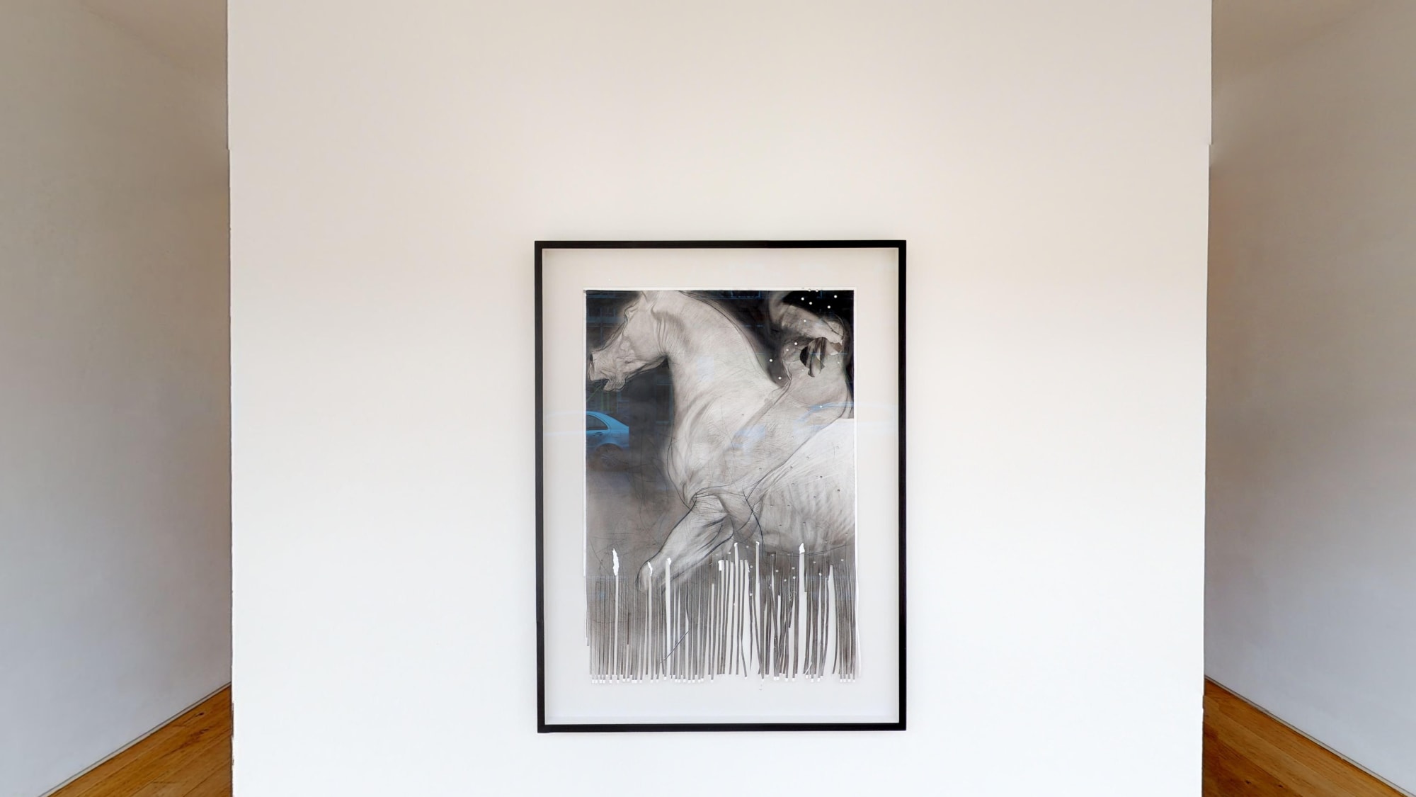 Ruprecht Von Kaufmann