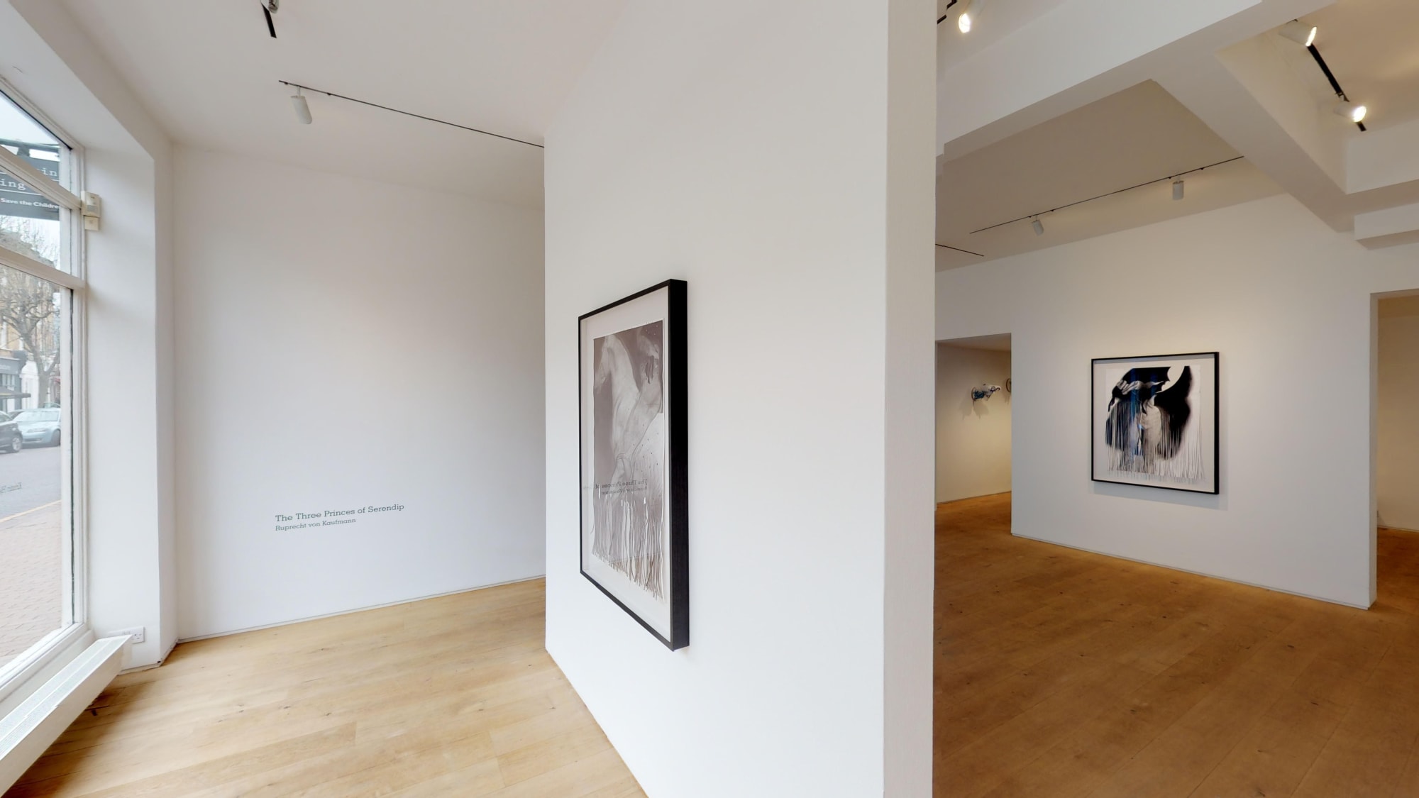 Ruprecht Von Kaufmann