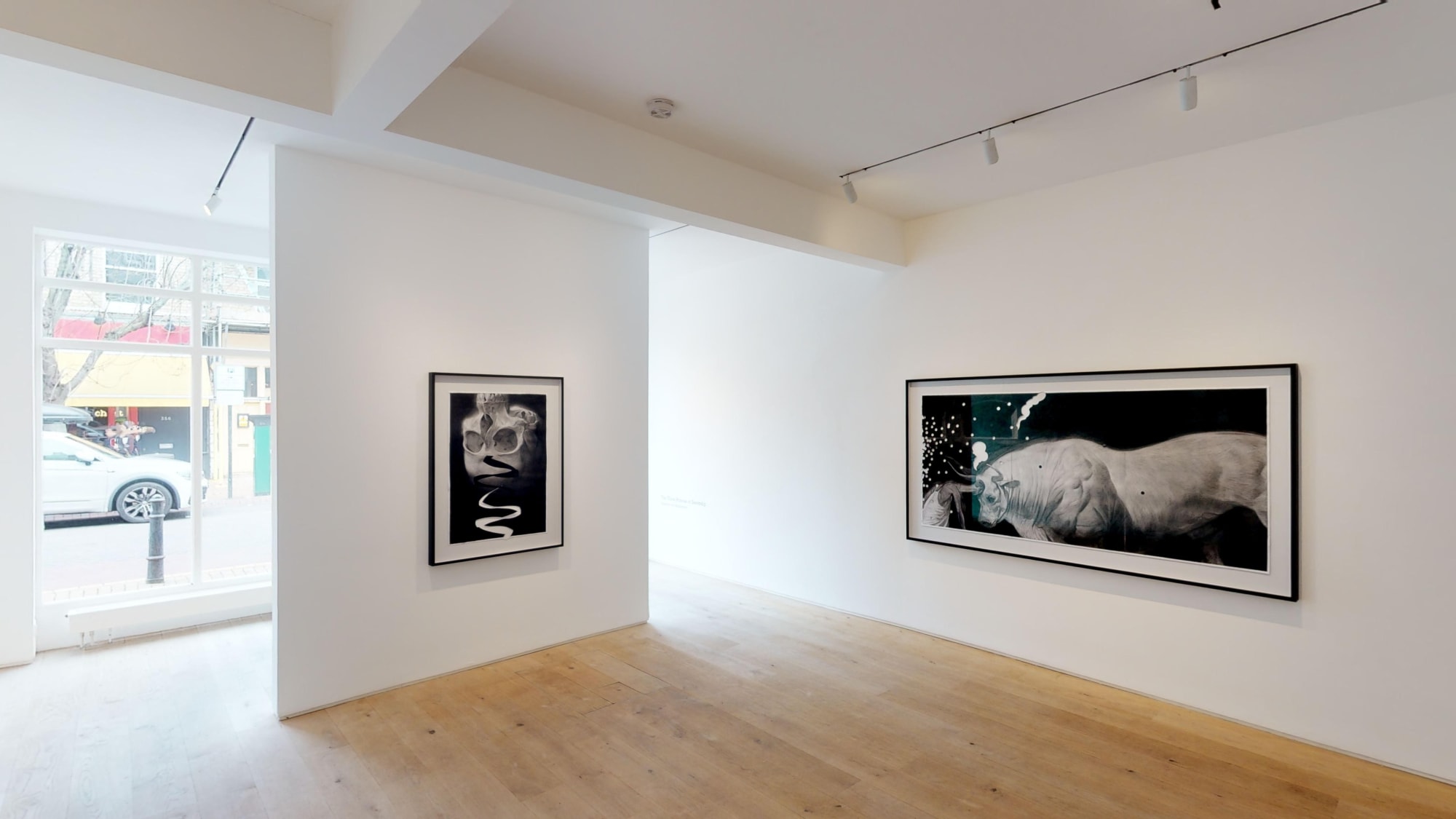 Ruprecht Von Kaufmann