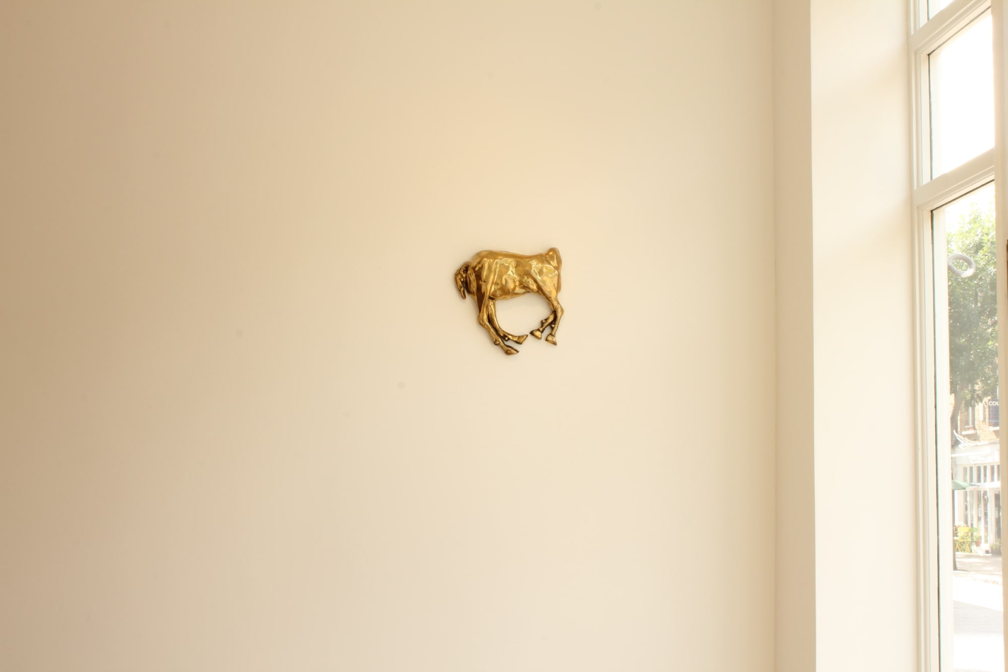 Radhika Agarwala | Alison Stolwood