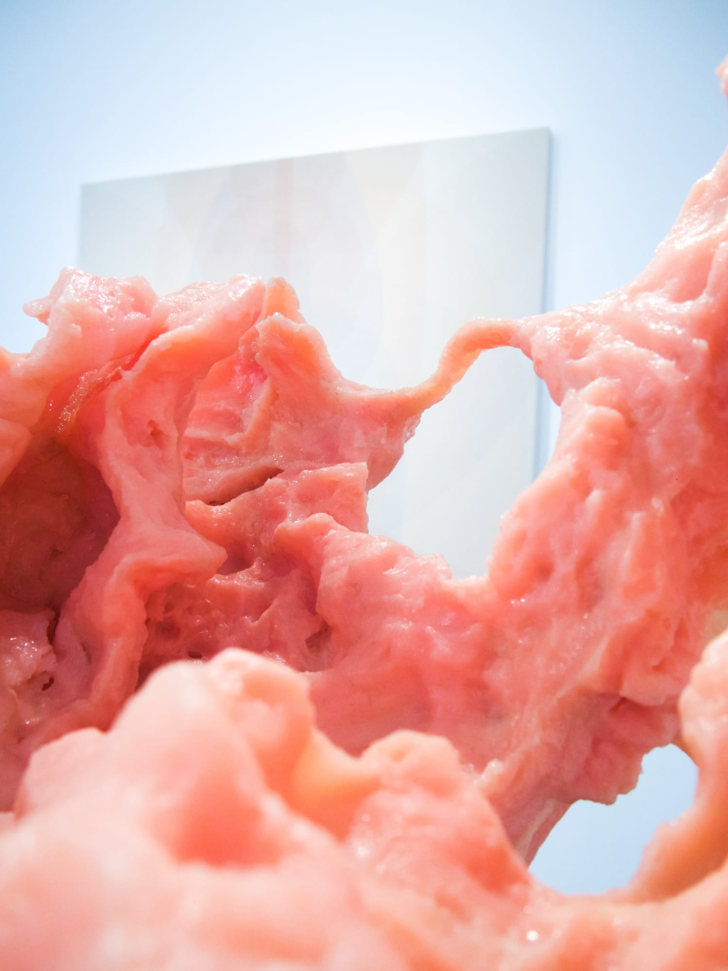 Maha Ahmed, Annie Attridge, Heloïse Delègue, Rachel Garrard, Anna Ilsley and Katja Larsson