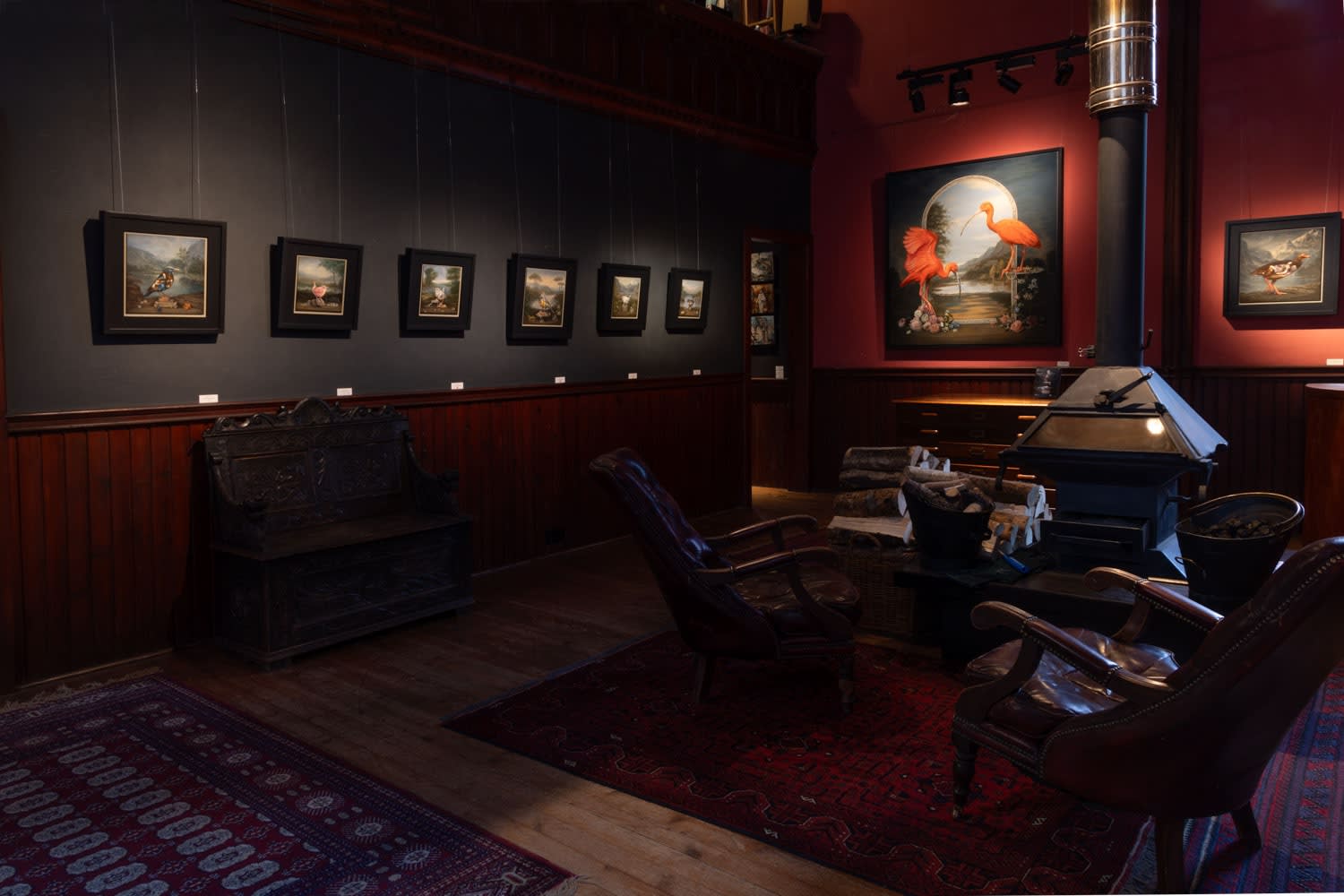 CAROLYNDA MACDONALD | Hidden Gardens