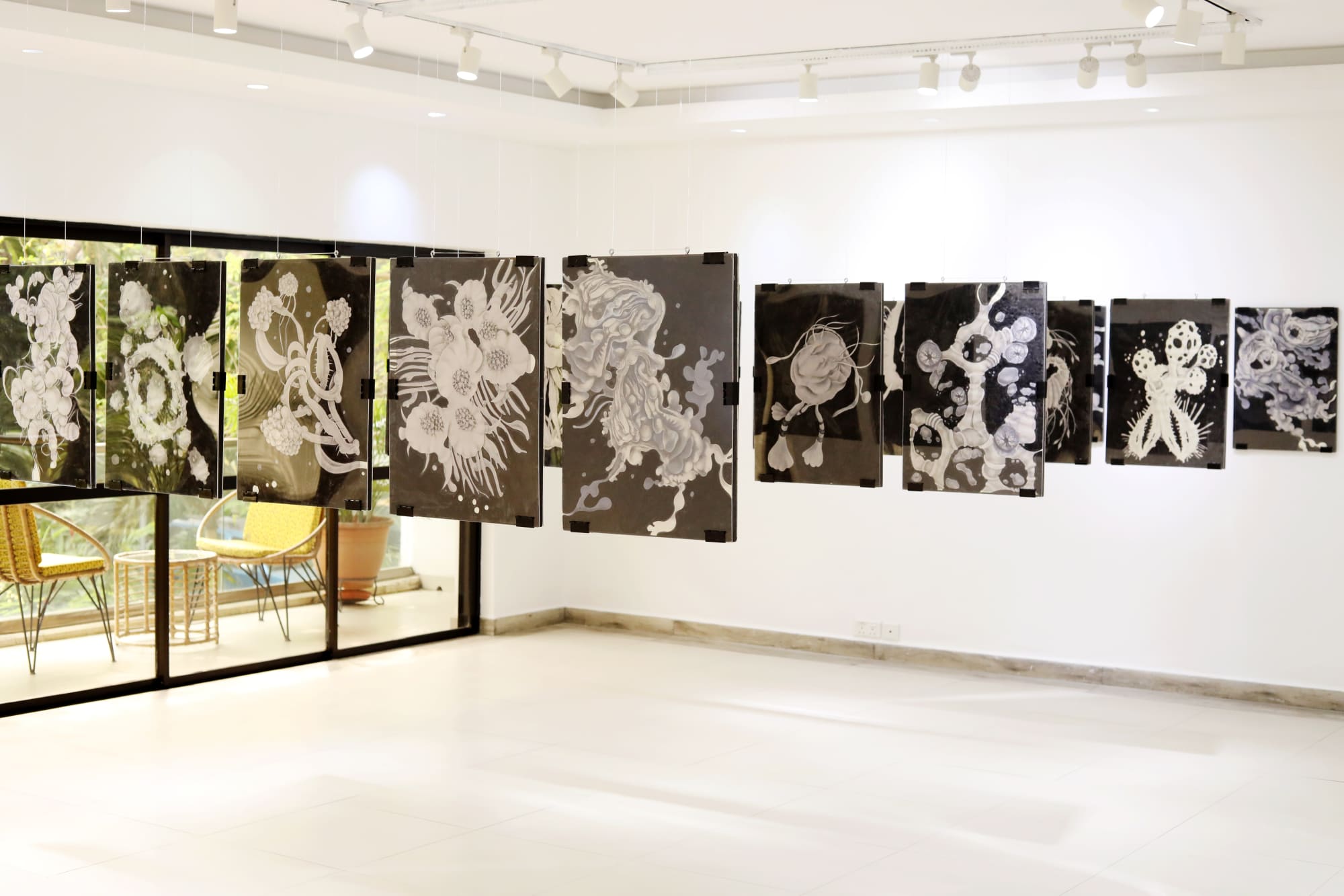 Odun Orimolade: 4939