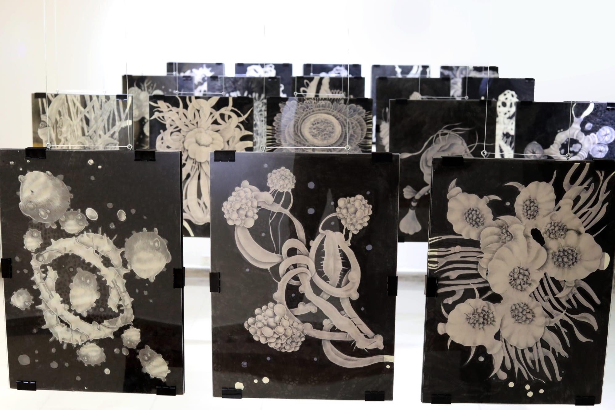 Odun Orimolade: 4939