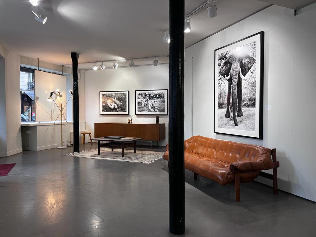 Cécile Plaisance, Wild Women