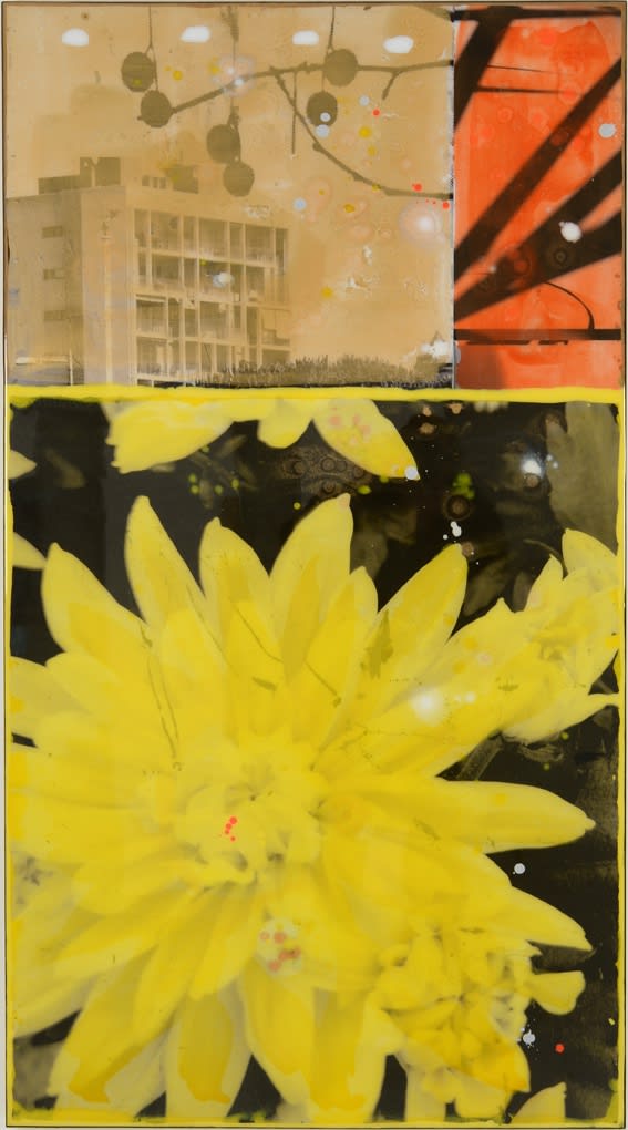 Edouard Buzon, Sun, 2024