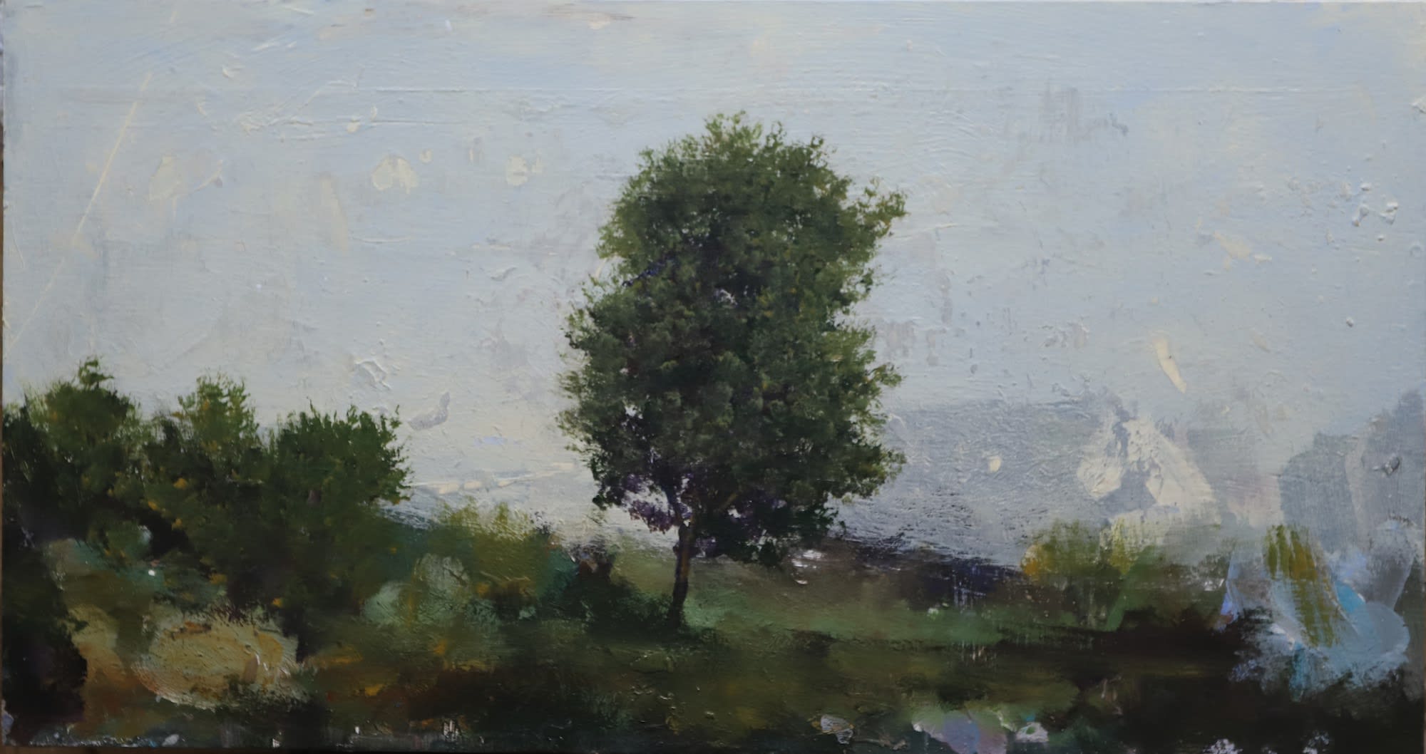 Peter Hoffer, August, 2019