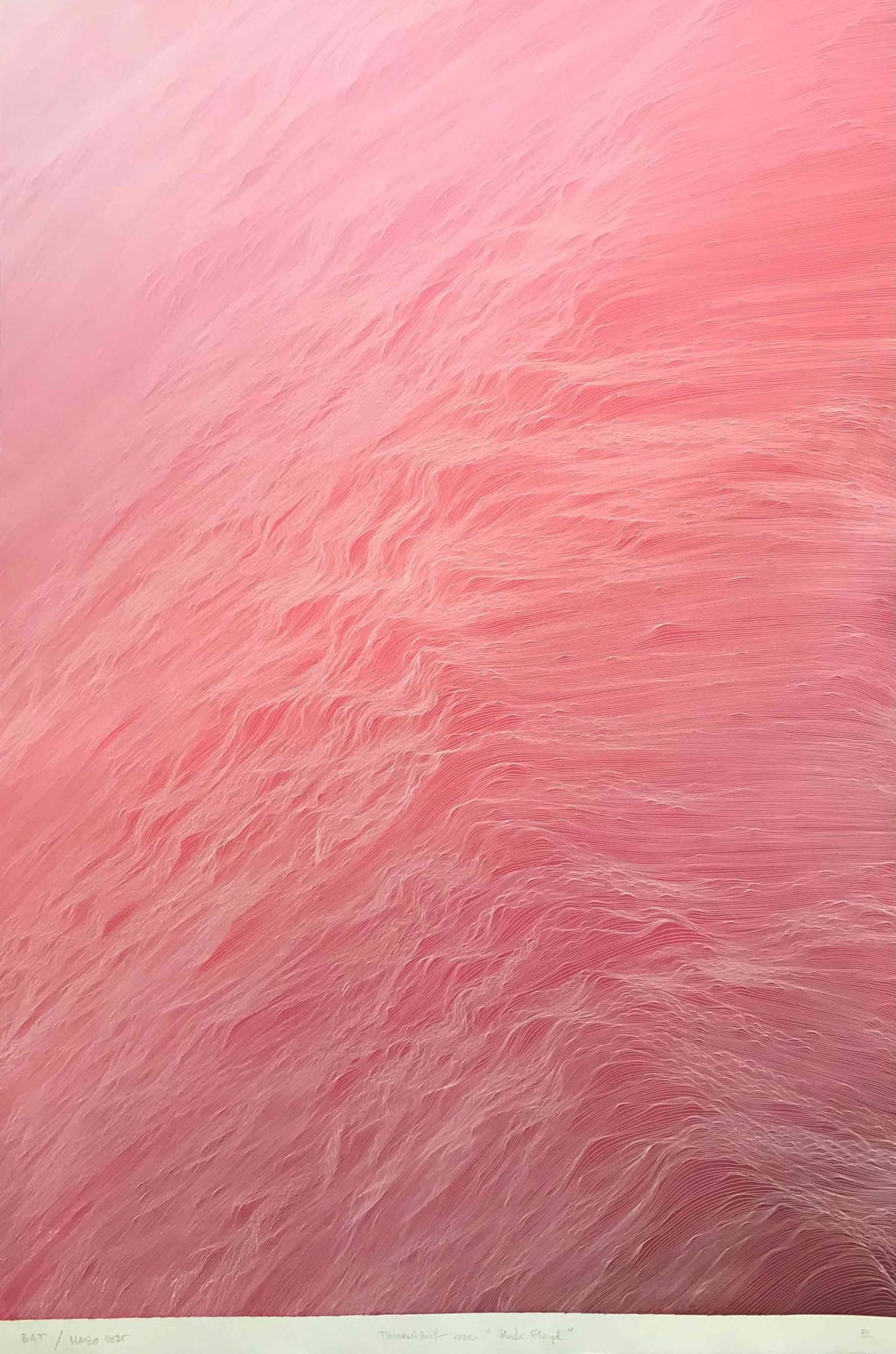 Juan Escudero, Surf Rose, 2025