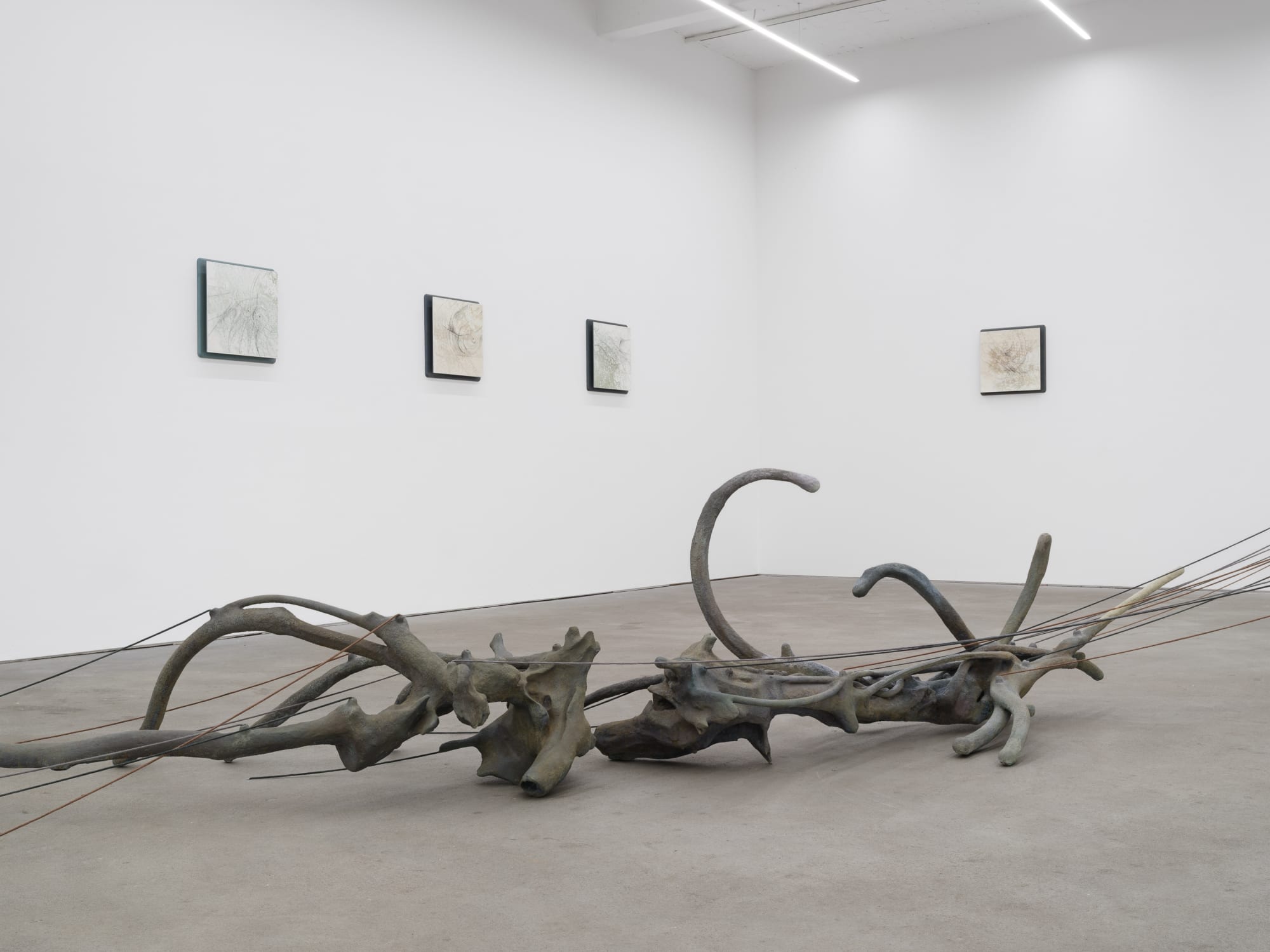 RIM PARK exhibition view, Radix, Kraupa-Tuskany Zeidler, Berlin, 2025