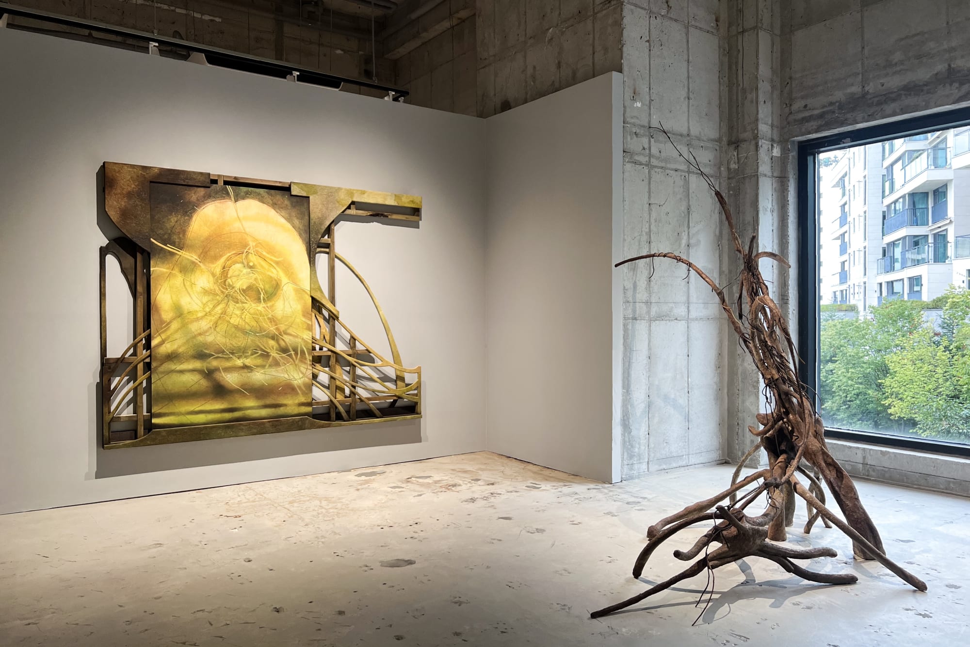 RIM PARK exhibition view, Everyday Nature, Patron, Chicago, 2024