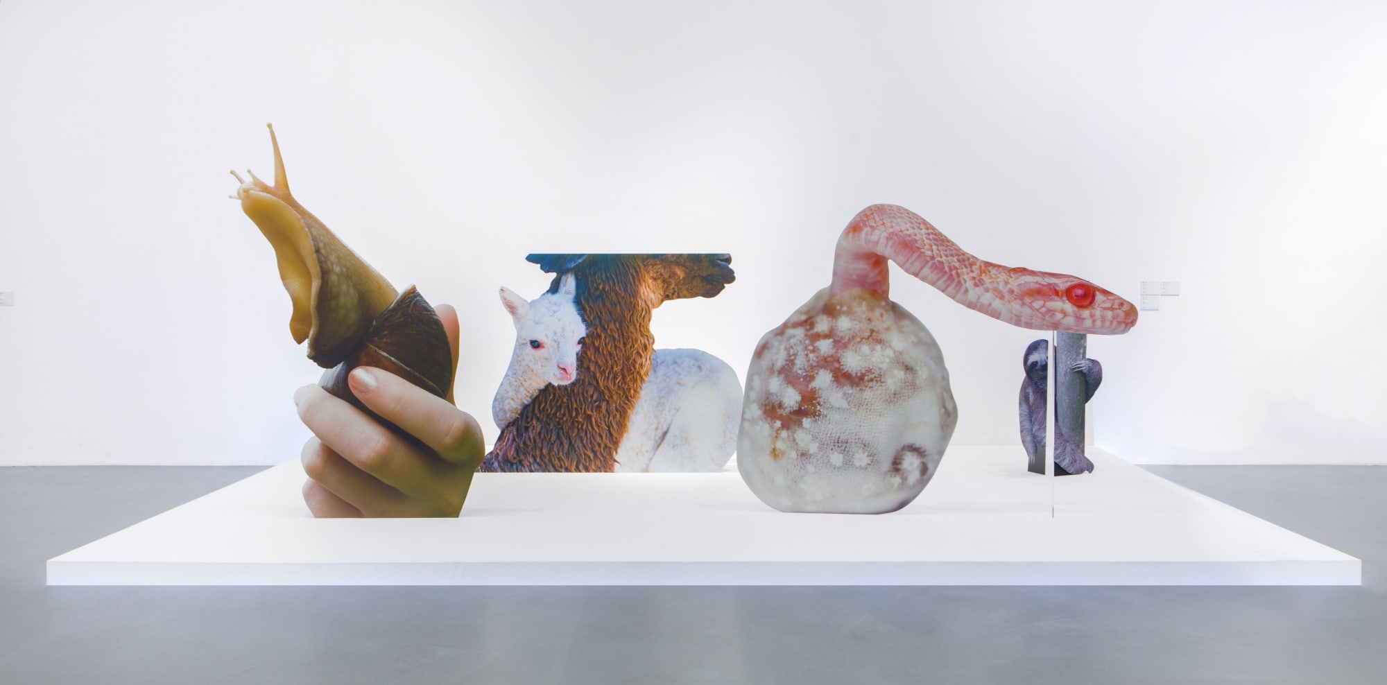 KATJA NOVITSKOVA exhibition view, Powerlong Museum, Shanghai, 2019