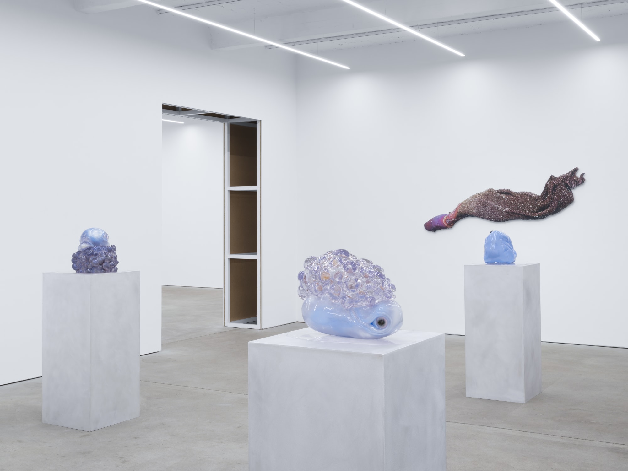 KATJA NOVITSKOVA exhibition view, MIRROR LIFE, Kraupa-Tuskany Zeidler, Berlin, 2025