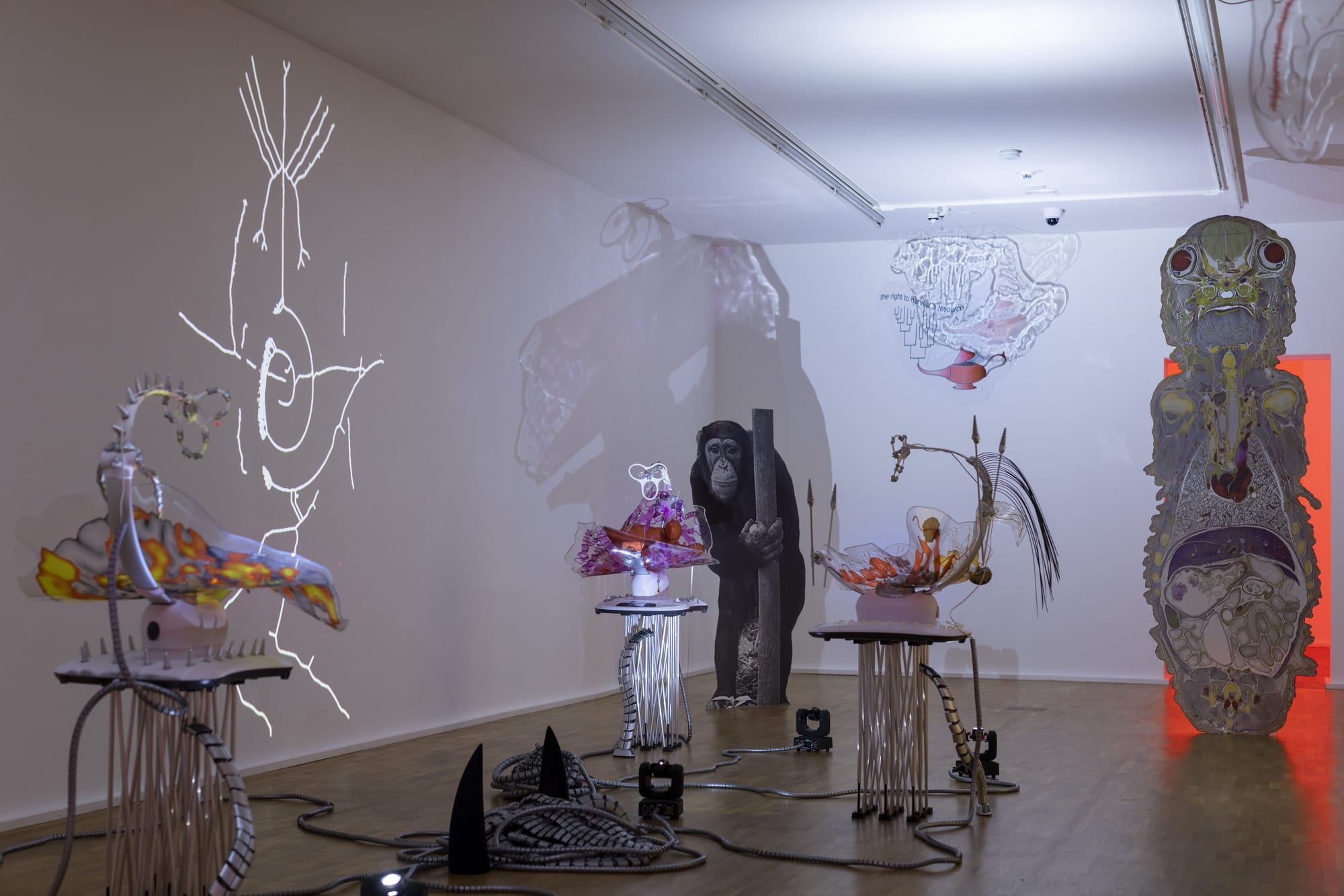 KATJA NOVITSKOVA exhibition view, Eyes of the World, Museum für Gegenwartskunst Siegen, 2023