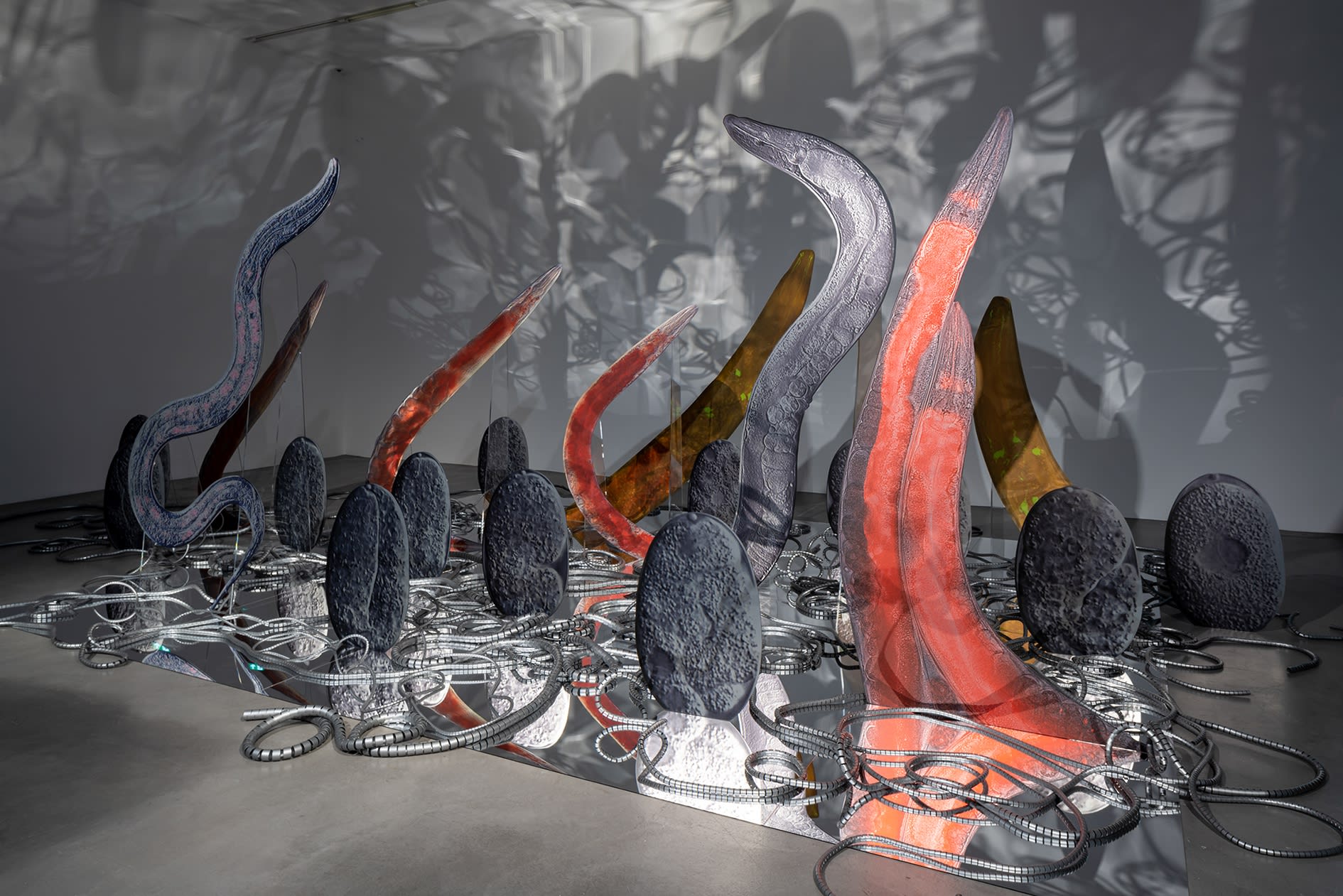 KATJA NOVITSKOVA exhibition view, Potential Worlds 1: Planetary Memories, Migors Museum für Gegenwartskunst, Zurich, 2020