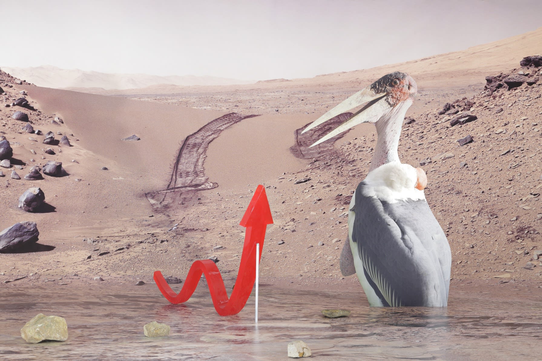 SPIRIT, CURIOSITY AND OPPORTUNITY