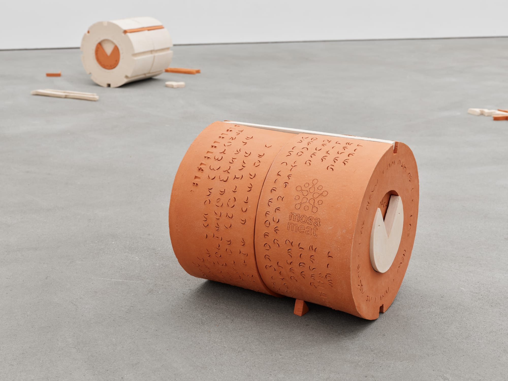 exhibition view, Cinis’ Forking [4.4.6.10.1], 2021, Transformella (aLifveForm fed and cared for by JP Raether)