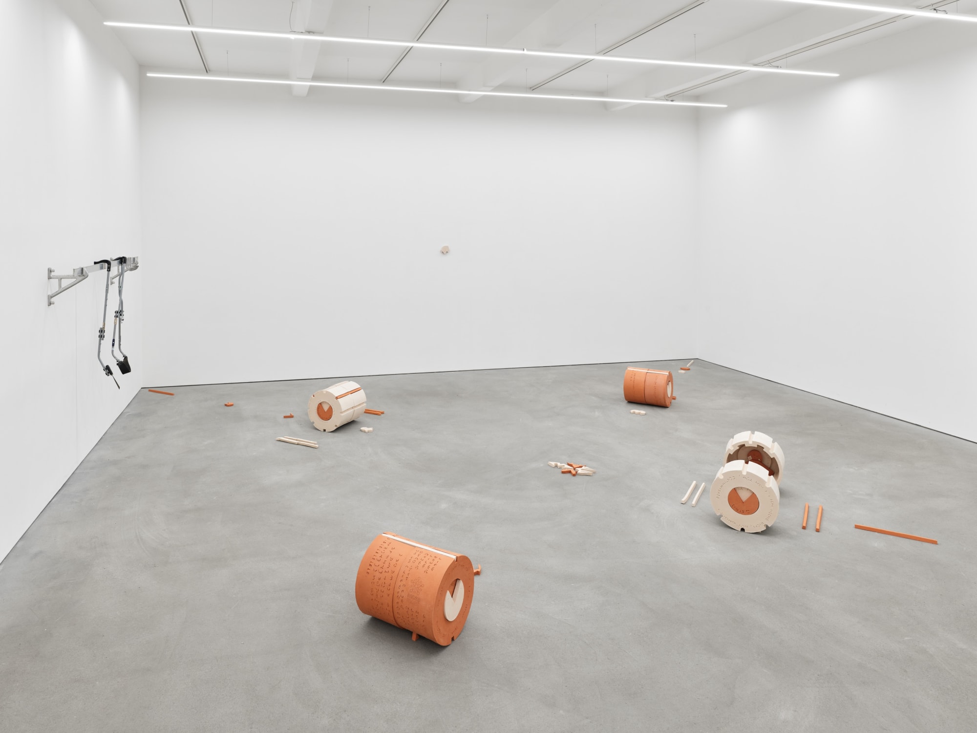 exhibition view, Cinis’ Forking [4.4.6.10.1], 2021, Transformella (aLifveForm fed and cared for by JP Raether)