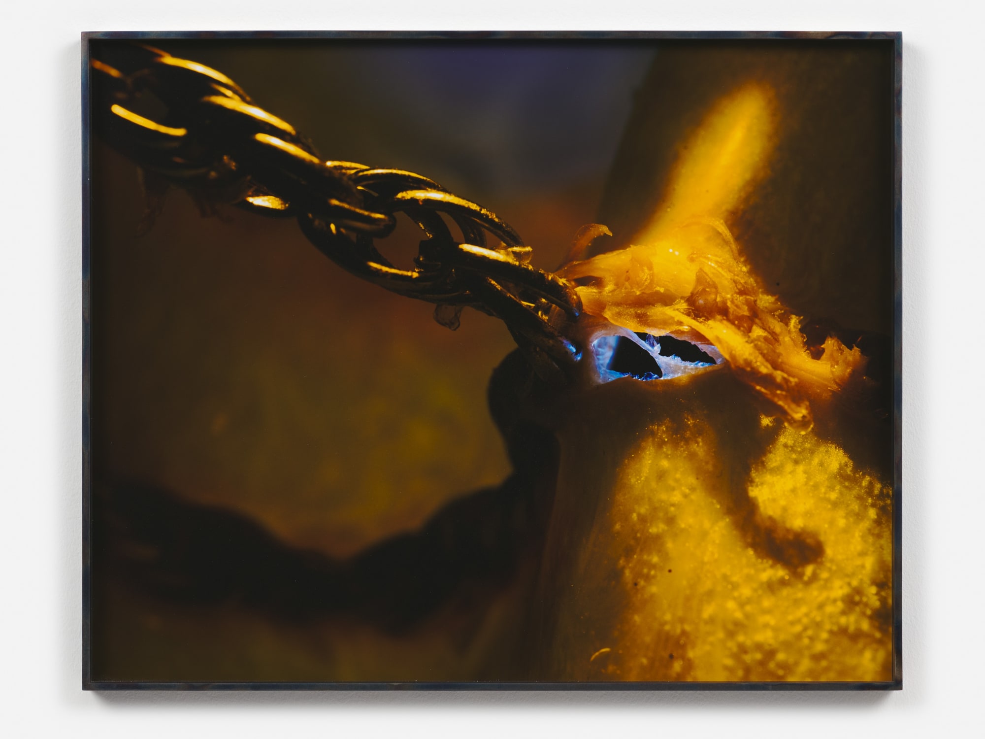 Diane Severin Nguyen, Daily Affirmations, 2021