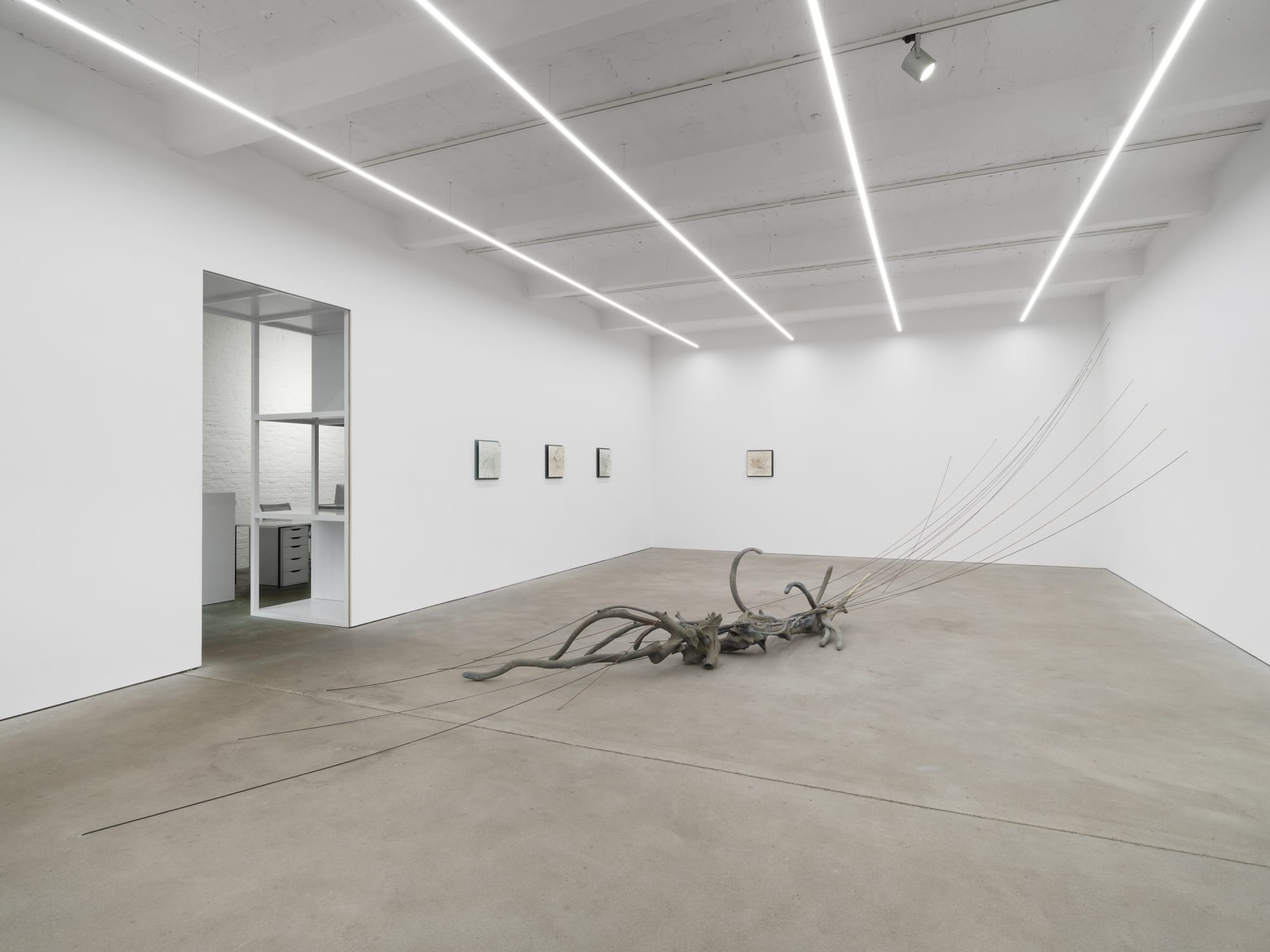 Radix, exhibition view, Kraupa-Tuskany Zeidler, Berlin, 2025