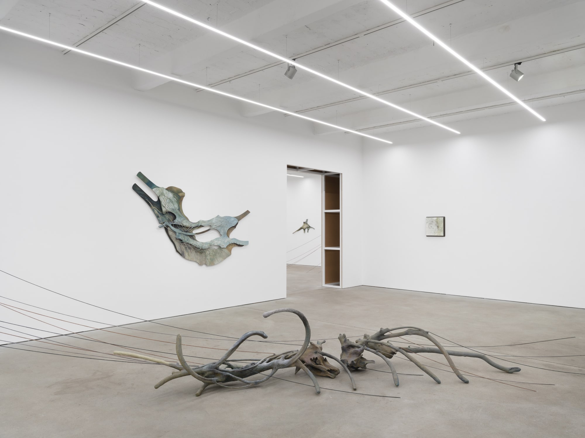 Radix, exhibition view, Kraupa-Tuskany Zeidler, Berlin, 2025