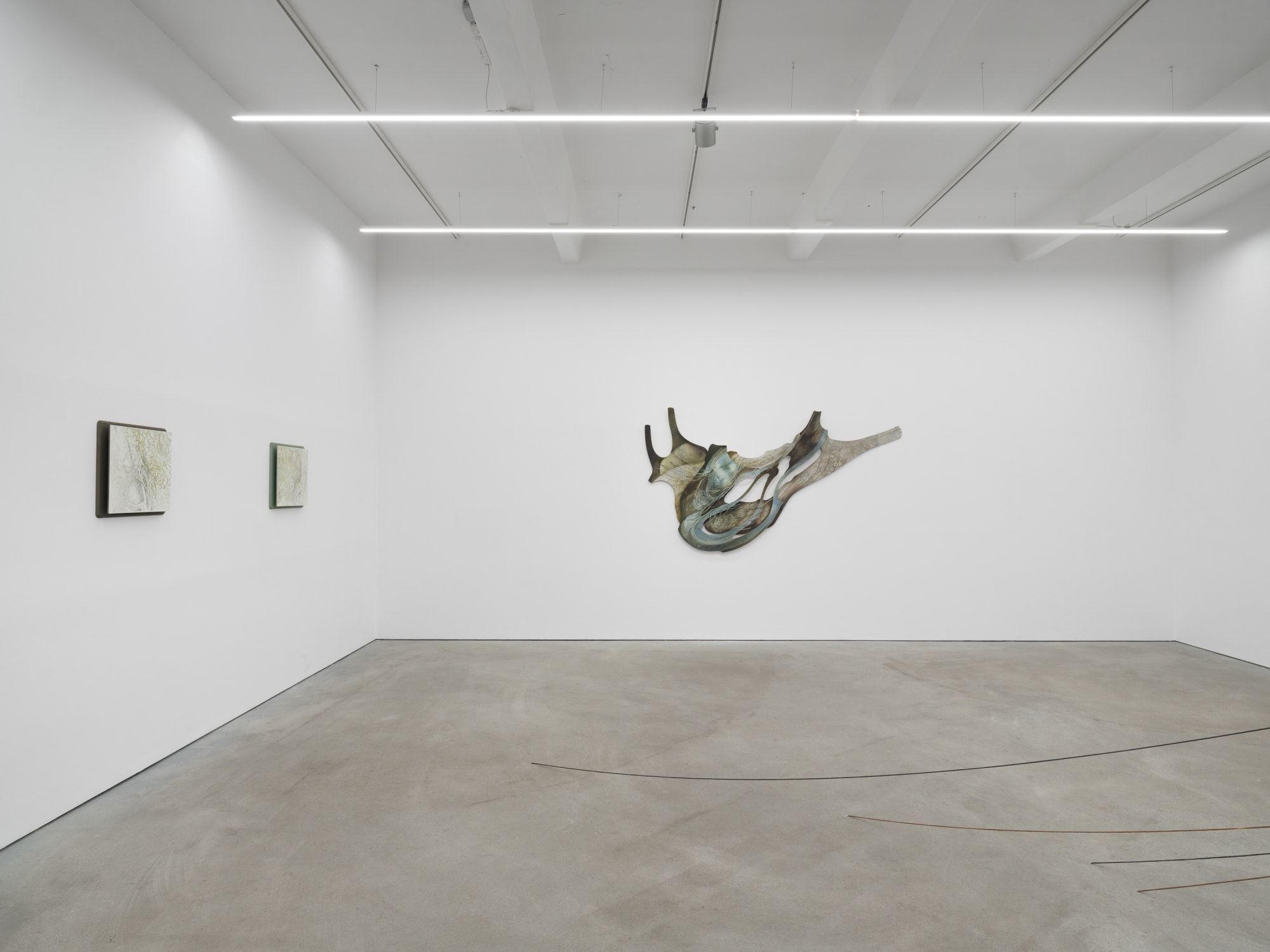 Radix, exhibition view, Kraupa-Tuskany Zeidler, Berlin, 2025