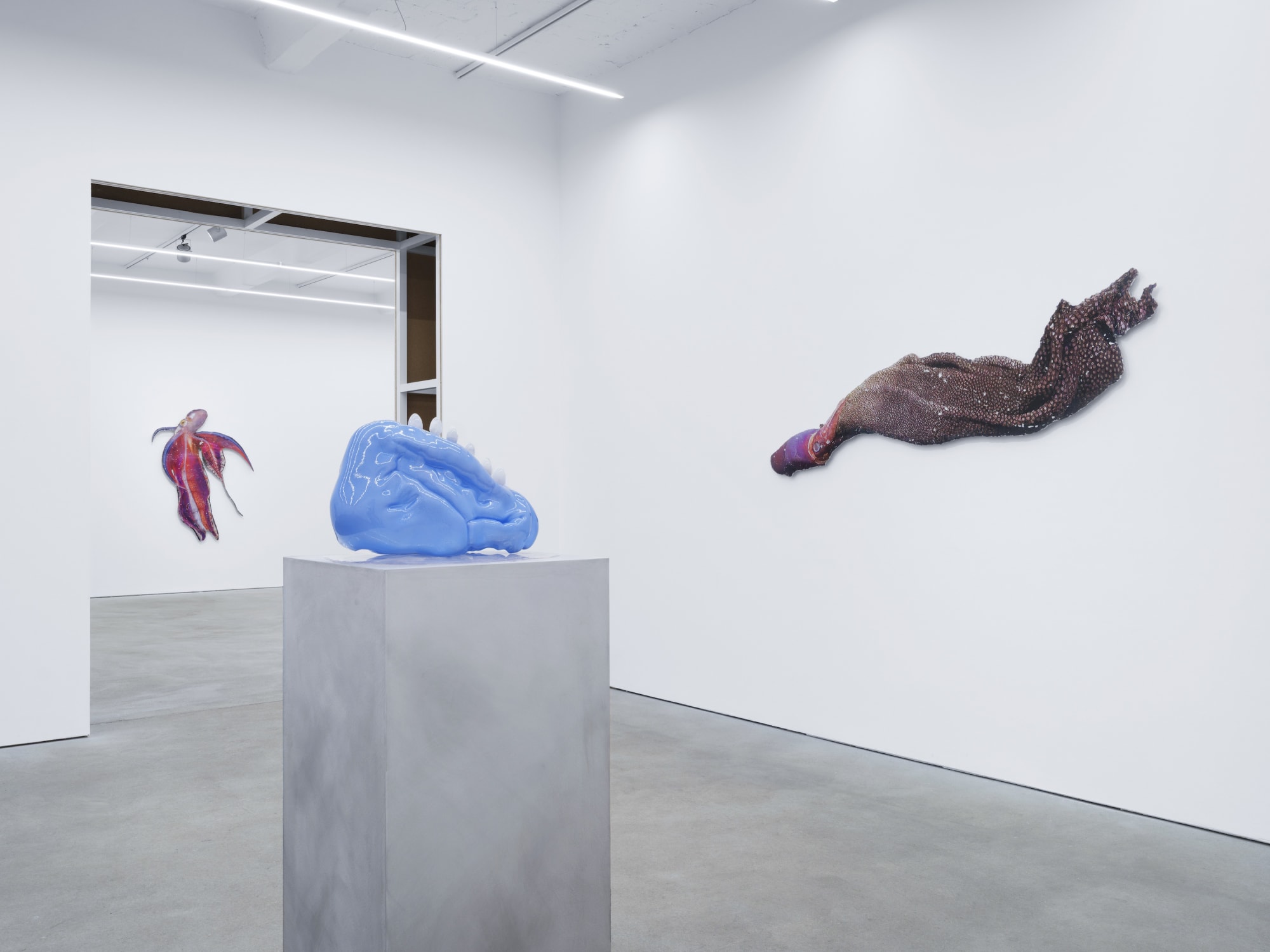 MIRROR LIFE, exhibition view, Kraupa-Tuskany Zeidler, Berlin, 2025