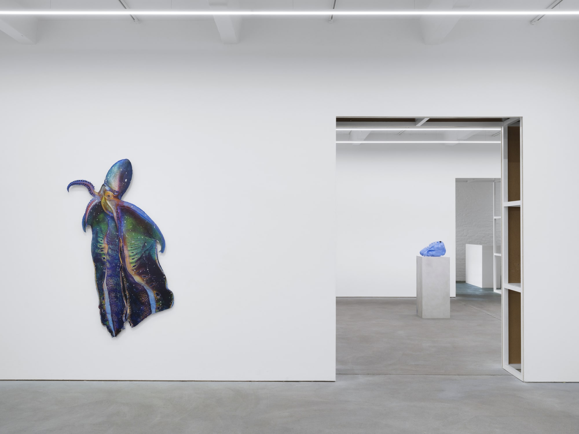 MIRROR LIFE, exhibition view, Kraupa-Tuskany Zeidler, Berlin, 2025