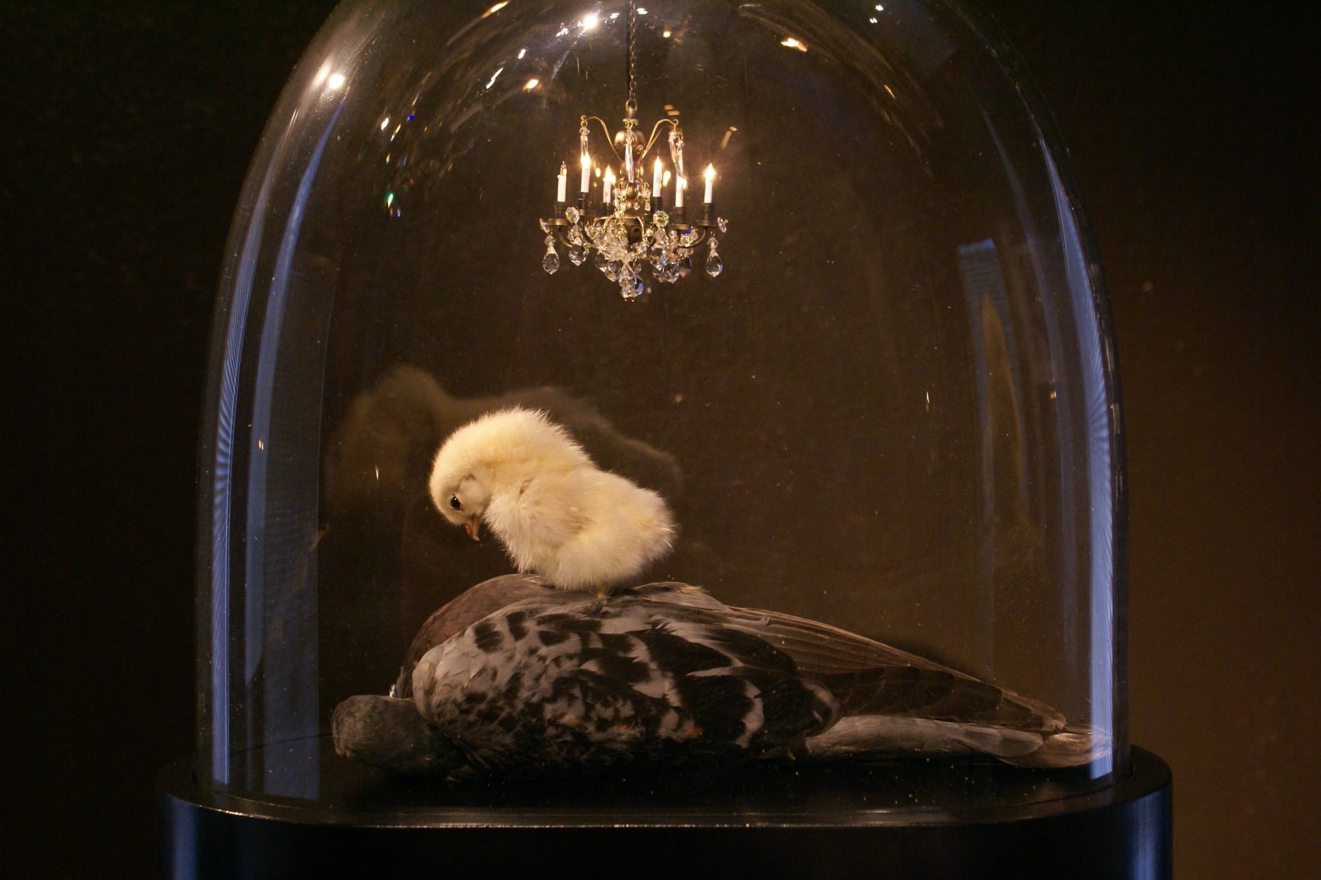 Still Life After Death