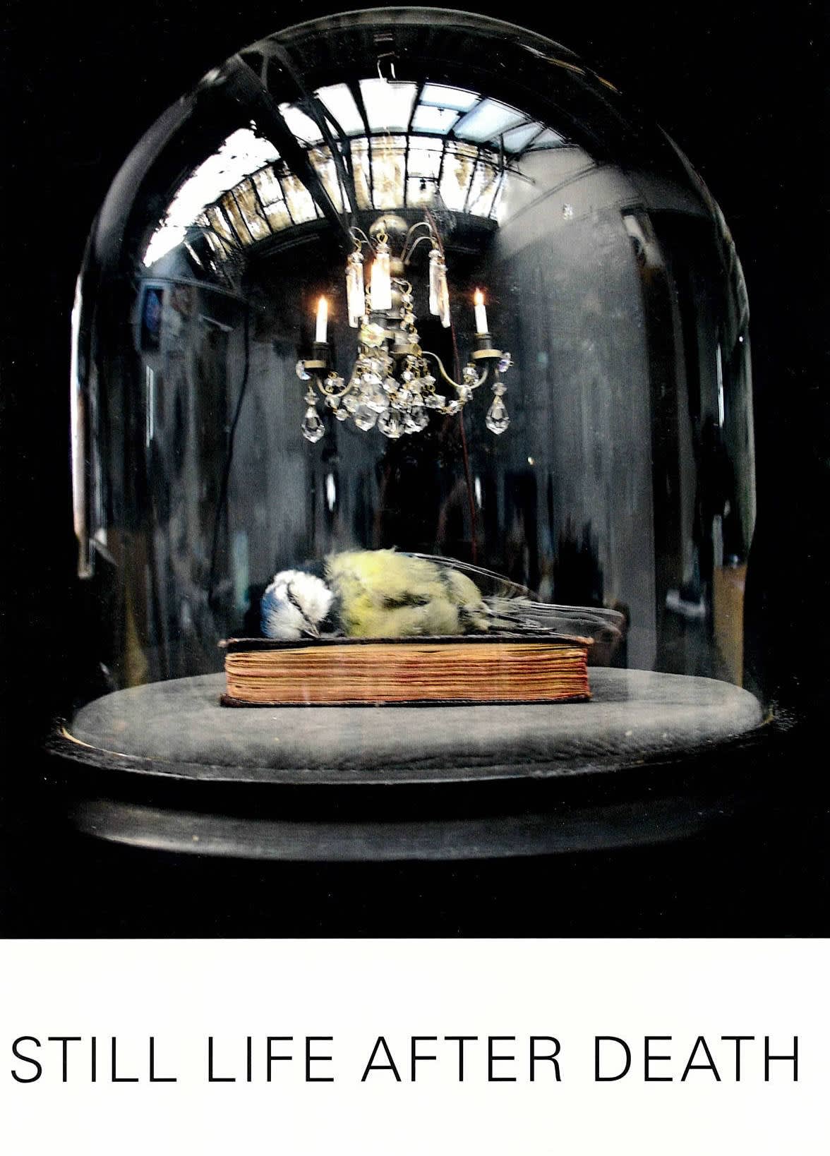 Still Life After Death