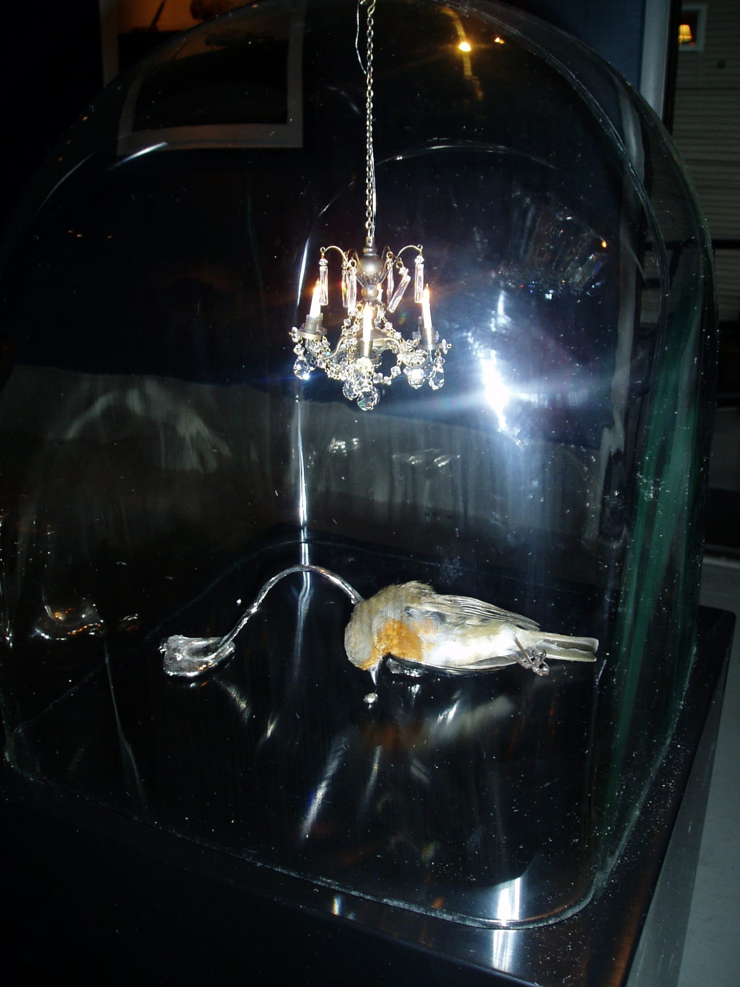 Still Life After Death