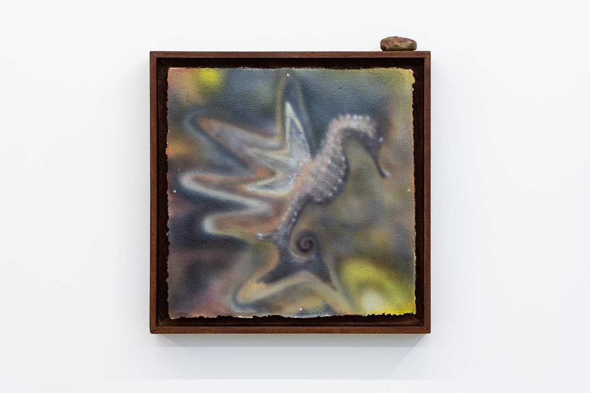 Jack Jubb Sempervivums, 2021 Signed and dated by the artist, on the back of frame Acrylic on cotton rag paper, artist frame, clay, acrylic paint, neodymium magnet 34 × 34 × 4.5 cm