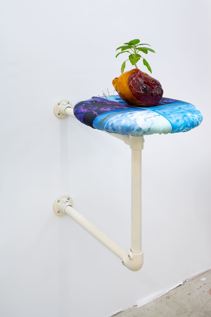 Evangelia Dimitrakopoulou Infusion Pot, 2021 Rosin, rotocasting resin, printed silk, foam, wood, steel, liquid infused with brugmansia leaves 64 x 45 x 74cm