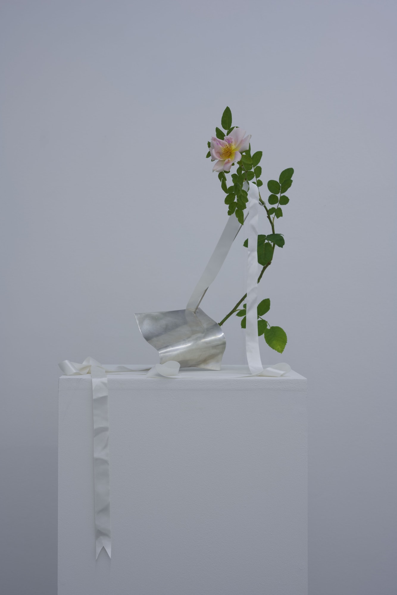 Beautiful Bride in the City