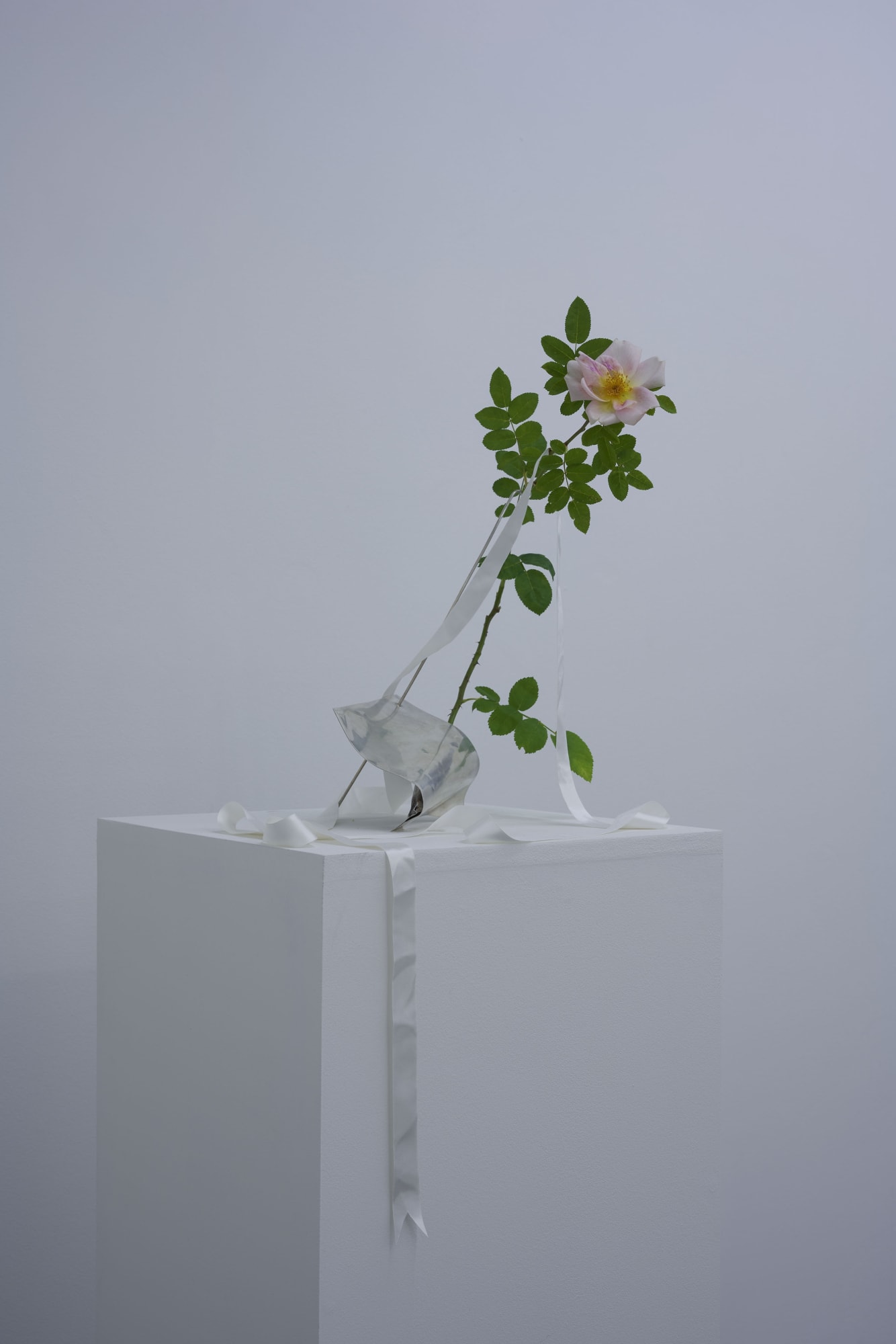 Beautiful Bride in the City