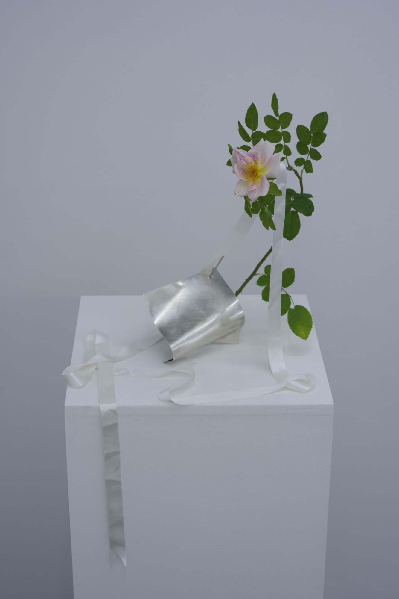 Beautiful Bride in the City