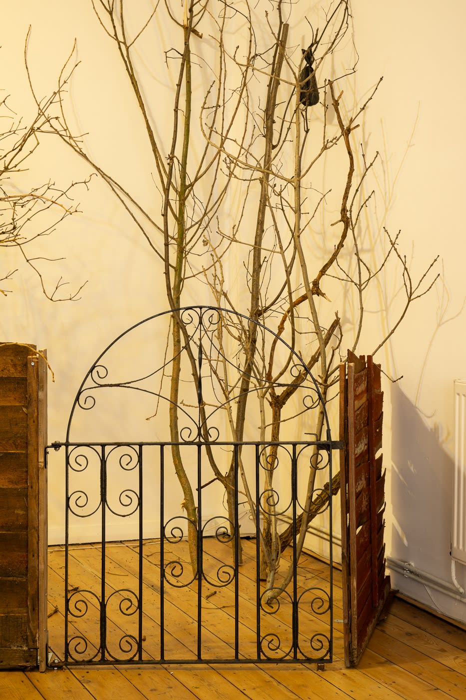 Don’t Kiss by the Garden Gate, Love is Blind but the Neighbours Ain’t