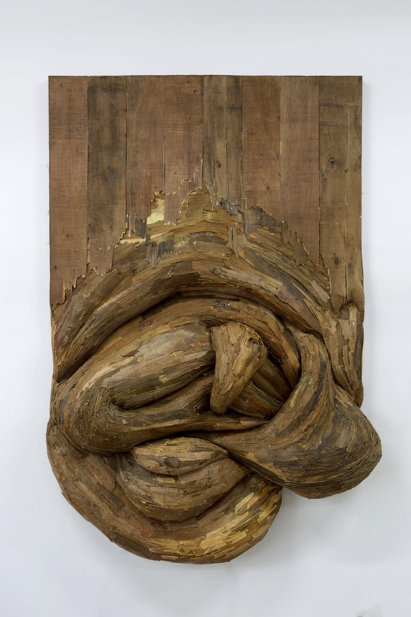 Henrique Oliveira, Untitled