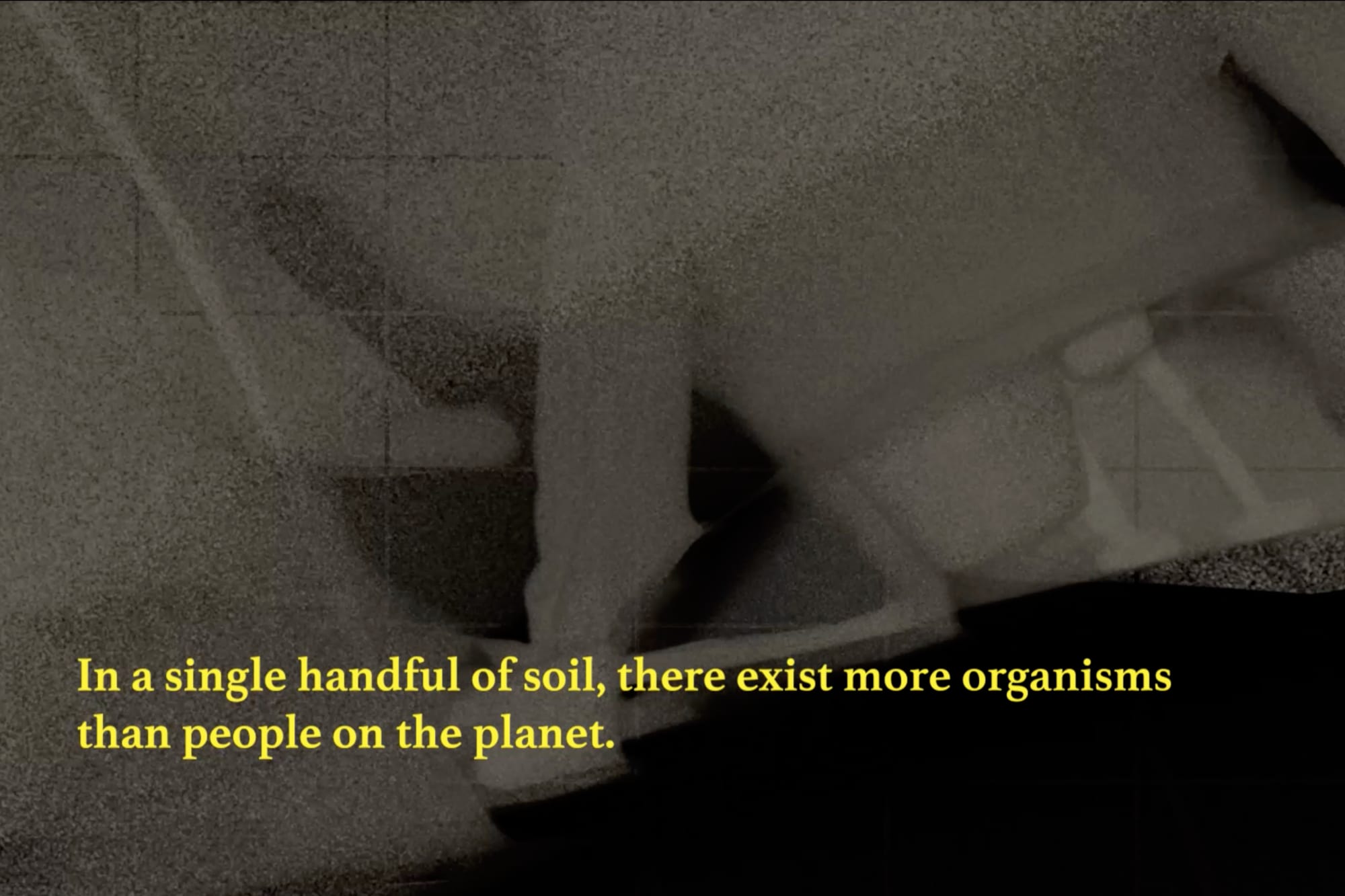 SABĪNE &Scaron;NĒ, TERRAIN WE TRAVERSE, 2024