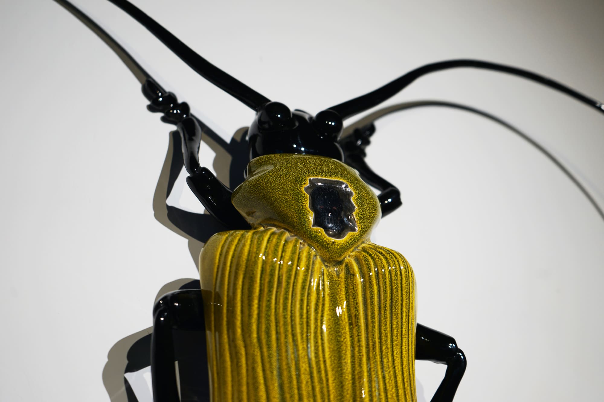 Seven Dimensions by Matteo Pugliese