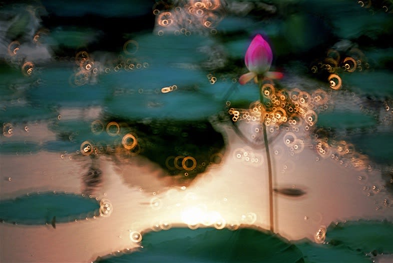 Leo K. K. Wong, Aurora’s Name Day, 2002