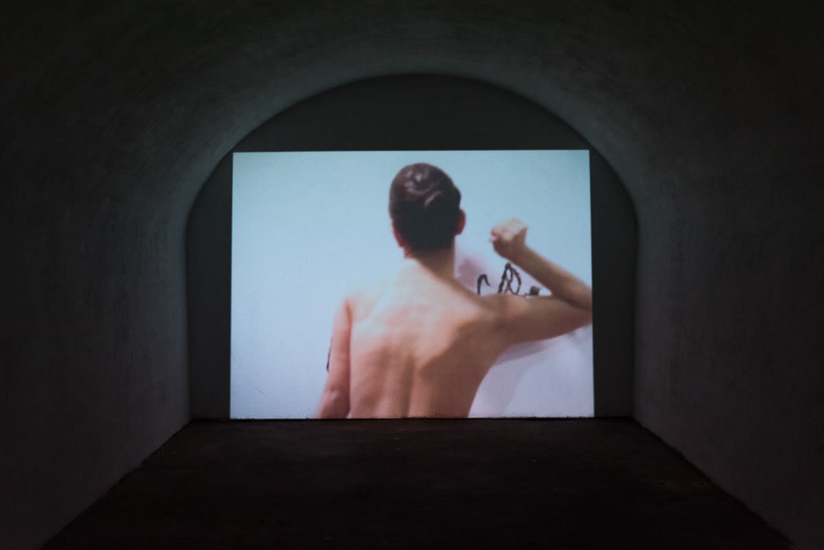 Equilíbrios EfêmerosInstallation Shot X, 2014